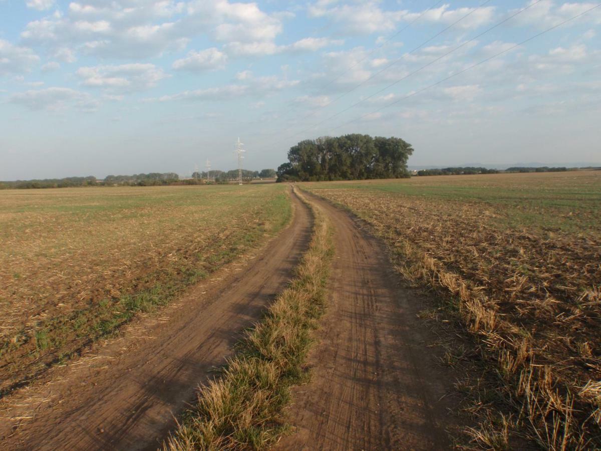 Penzion U Malera Hroznova Lhota Bagian luar foto